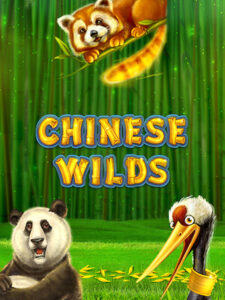 pg bigwin88 ทดลองเล่น้กมฟรี chinese-wilds